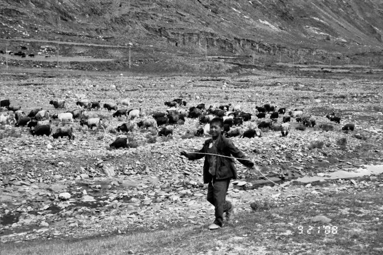 B&W-Goat herder with slingshot.jpg